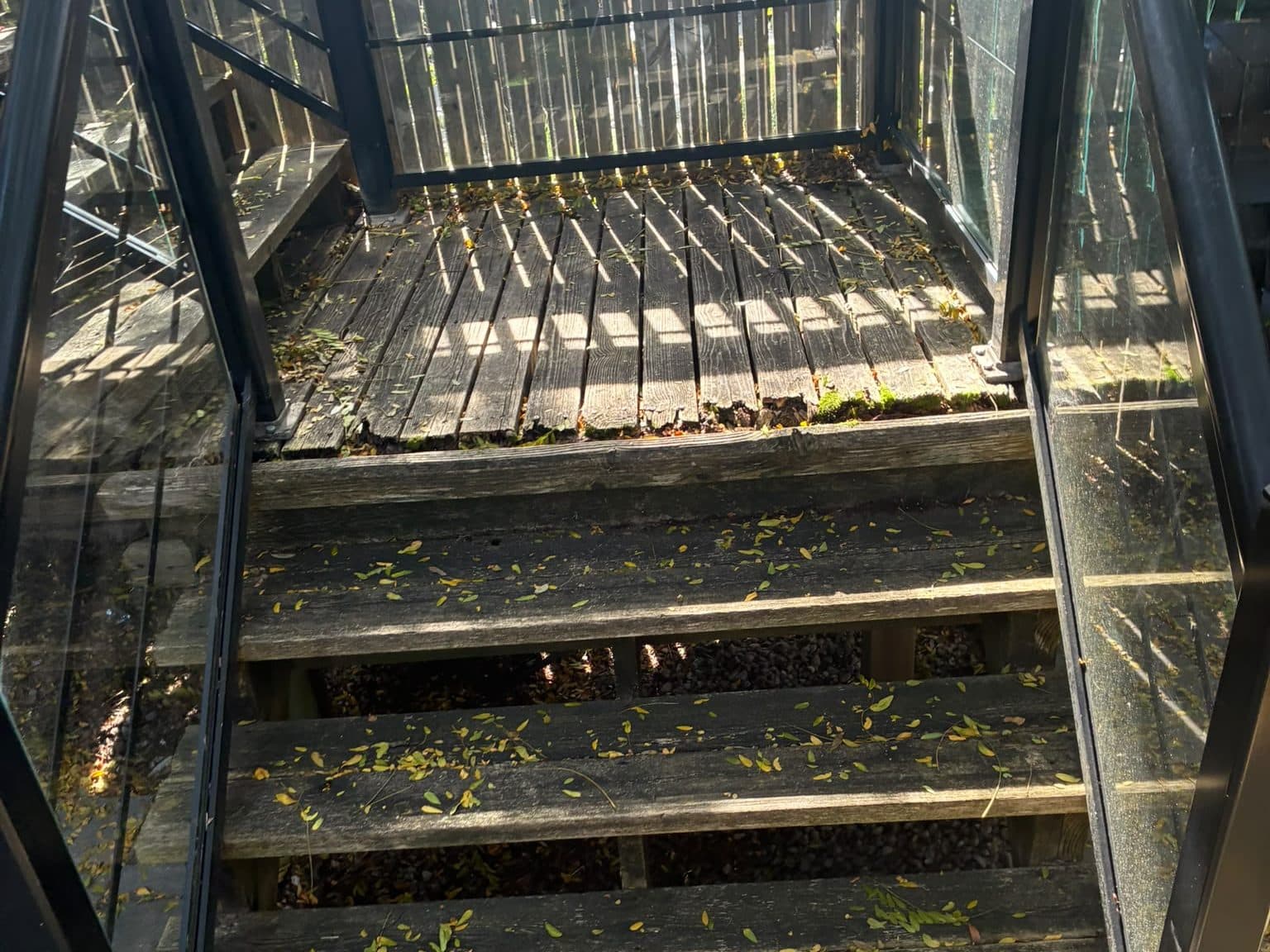 Weathered wooden deck and steps behind a Barrhaven townhouse, boards greyed and splitting, glass railing panels either side, fallen leaves across the treads.